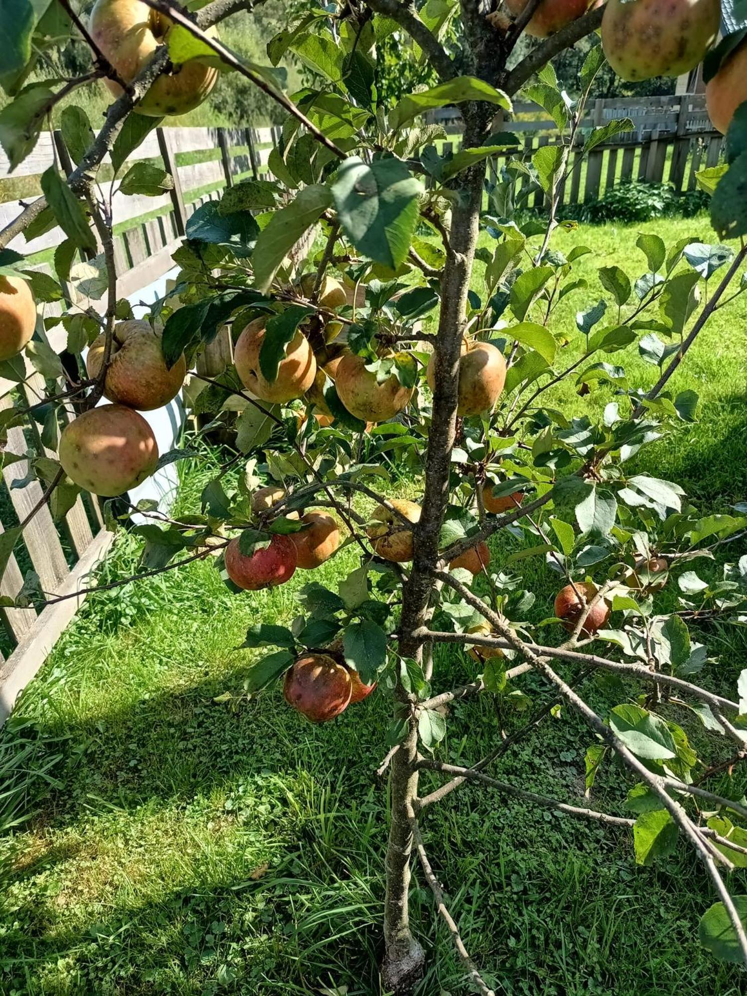 Dolina Rosy Βίλα Ustrzyki Dolne Εξωτερικό φωτογραφία